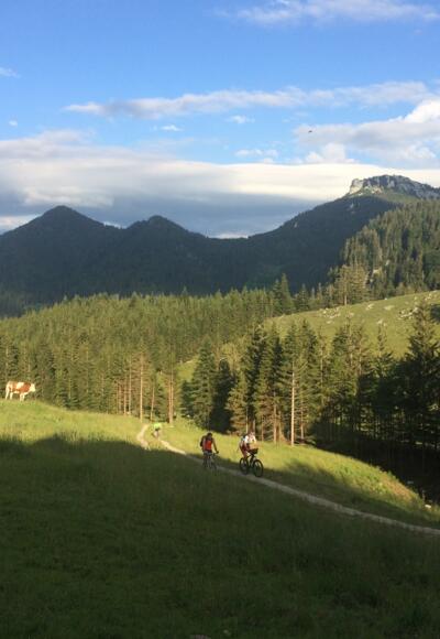 Blick ins Rottauer Tal