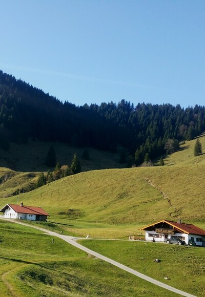Daffnerwald Almen unterhalb des Heubergs