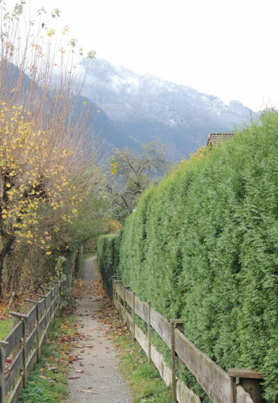 Der Pfad zwischen den Häusern