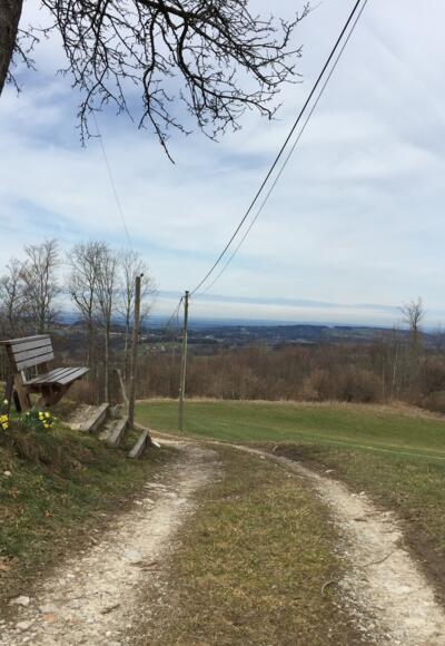 Von Vordergschwendt Richtung Abendmahlkapelle