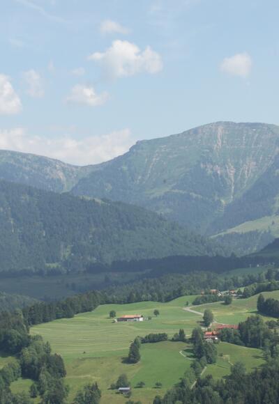 Blick auf den Hochgrat. 