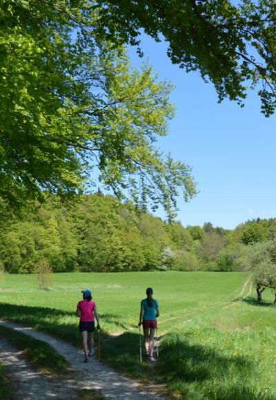 Auf der Jurahöhe zwischen Ebermannstadt und Wiesenttal
