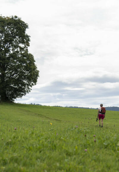 Richtung Scheffau (c) Martin Vogel / Vorarlberg Tourismus