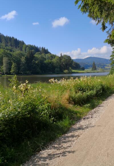 Hengelsweiher Uferweg