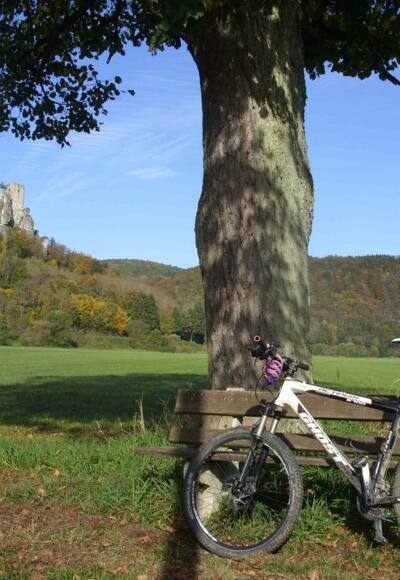 zur Burgruine Neideck