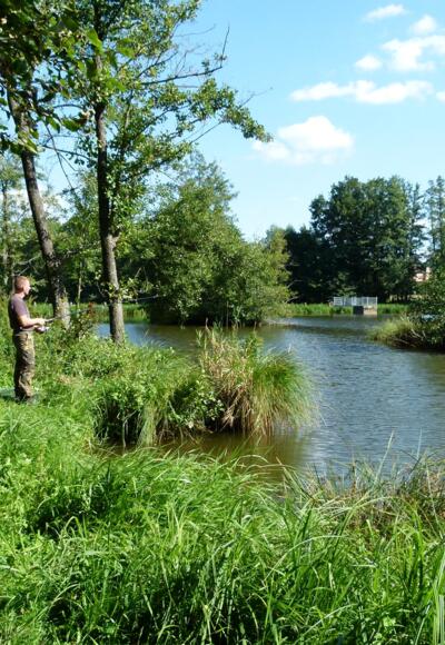 Ein wunderschöner Platz zum Angeln ist auch der Überleiter in Pfofeld- idyllisch und ruhig.
