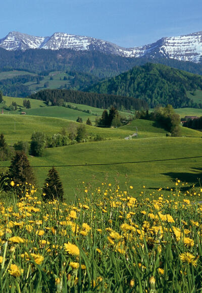 Blick auf die Nagelfluhkette