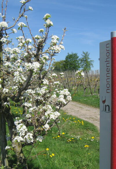 Im Frühling auf dem Genießerweg