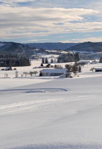 Voralpenland bei Maierhöfen Isny