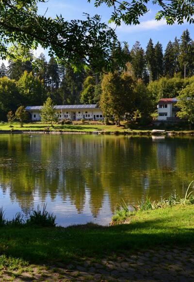 Felderholzweiher Waldbad Isny