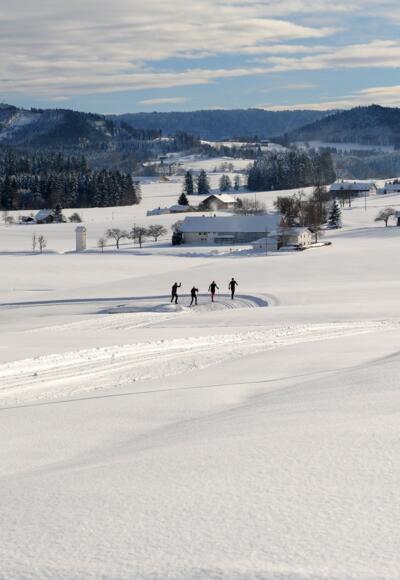 Langlauf im Voralpenland bei Isny Maierhöfen