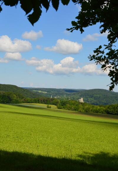 Blick von Osten zur Neideck
