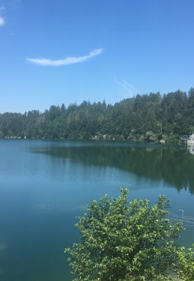 Blick vom Staudamm Roßhaupten auf den Forggensee