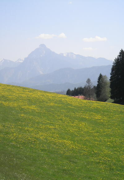Zwischen Holz und Zell im Allgäu
