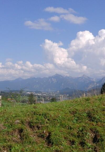Blick zu den Ammergauer Alpen