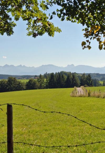 Panoramablick in die Alpen von der Buchel aus