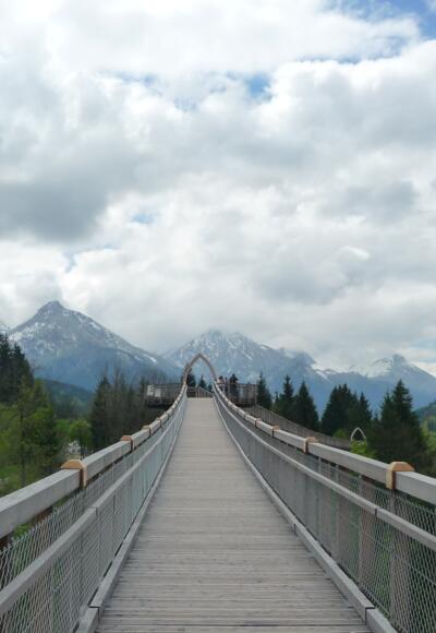 Der Baumkronenweg im Walderlebniszentrum Ziegelwies