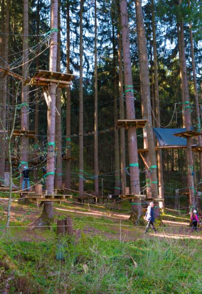 KLetterwald am Ettwieser Weiher