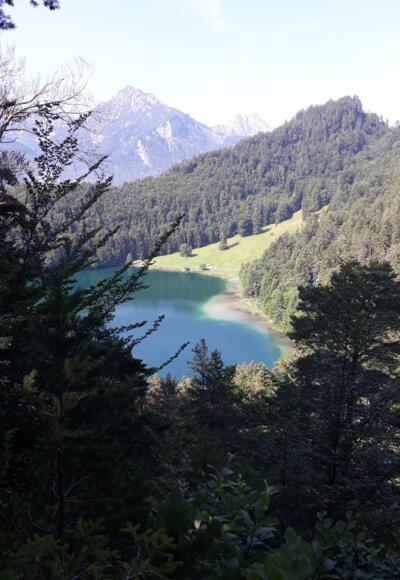 Blick auf den Alatsee vom Zwei-Seen-Blick