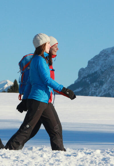 Winterwandern mit Blick auf den Säuling