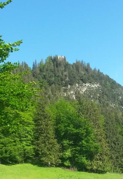 Burgruine Falkenstein