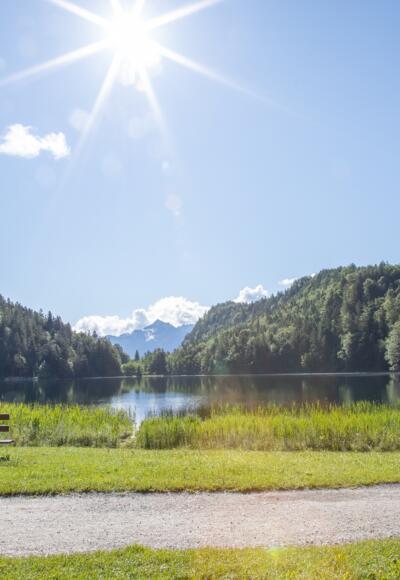 Westufer des Alatsees