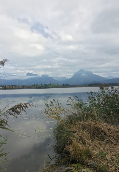 Blick über den Hopfensee