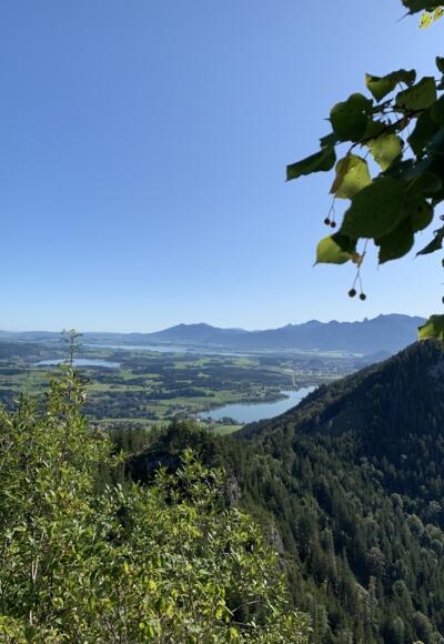 Ausblick vom Falkenstein Richtung Weißensee