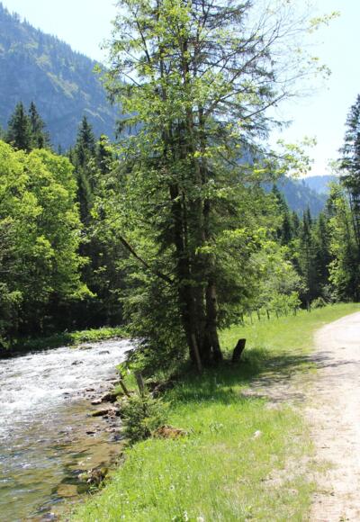 Wandern und Radfahren im Vilstal