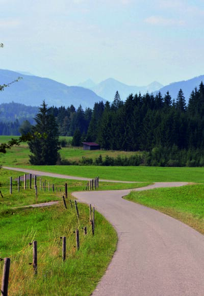 Radweg auf dem 4. Abschnitt der Schlossparkradrunde
