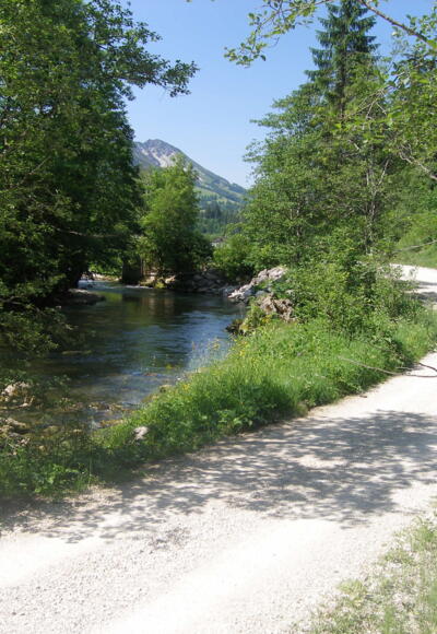 Der Radweg im Tal der Vils führt uns immer am Fluss entlang.