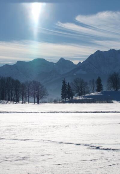 Winterlandschaft bei Nesselwang im Allgäu