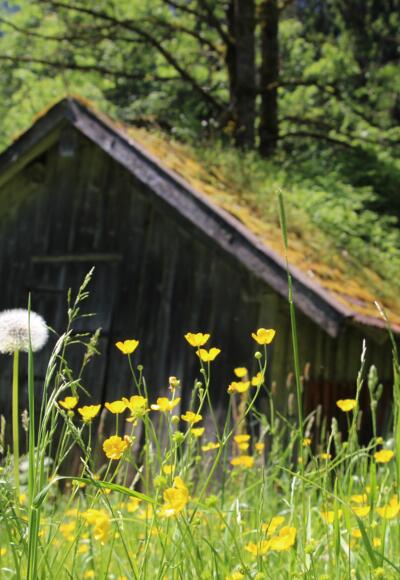 Alter Stadl im Vilstal