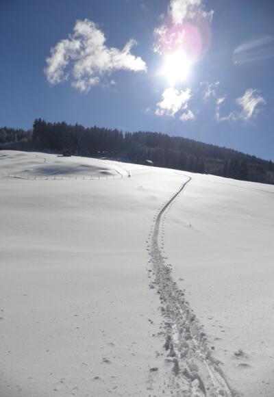 Über freies Gelände