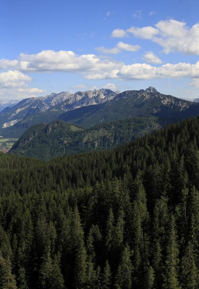 Panoramablick von der Alpspitze in Nesselwang