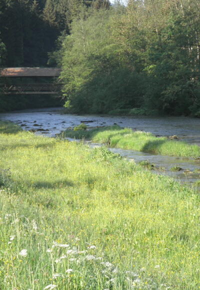 An der Wertach bei Nesselwang im Allgäu