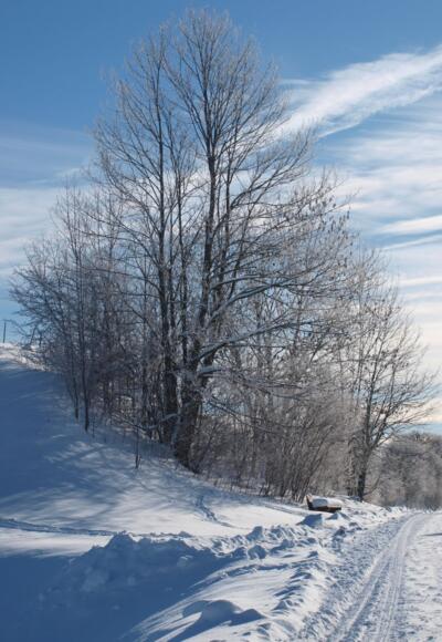 Winterwanderweg bei Nesselwang im Allgäu