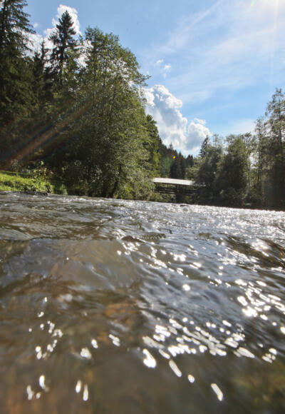 Die Wertach bei Nesselwang im Allgäu