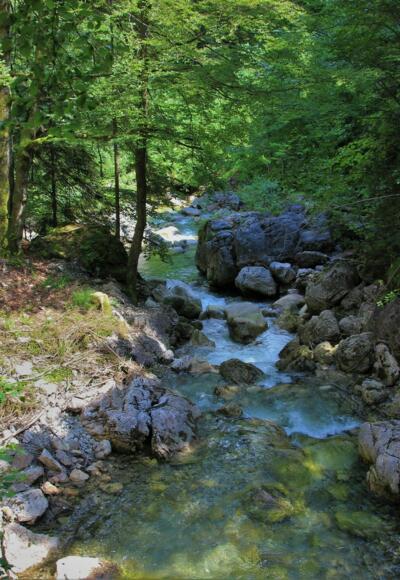 Wanderung durch das Achtal 