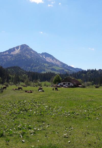 Vilstal mit Alpe Kalbelehof