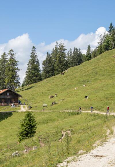 Mountainbiker auf dem Weg zur Bärenmoosalpe