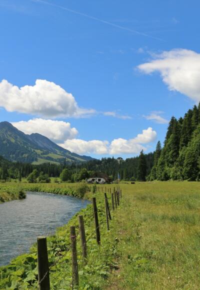 Kalbelehof Alpe im Vilstal