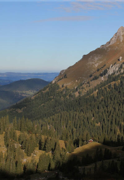 Blick zurück zum Aggenstein