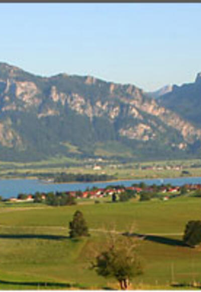 Dietringer Alm Rundweg