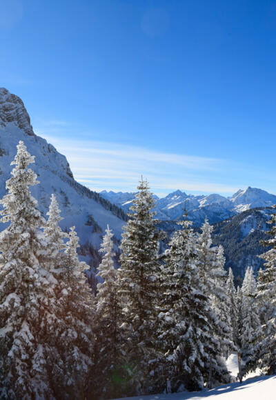 Weitsicht in die Allgäuer und Tiroler Alpen
