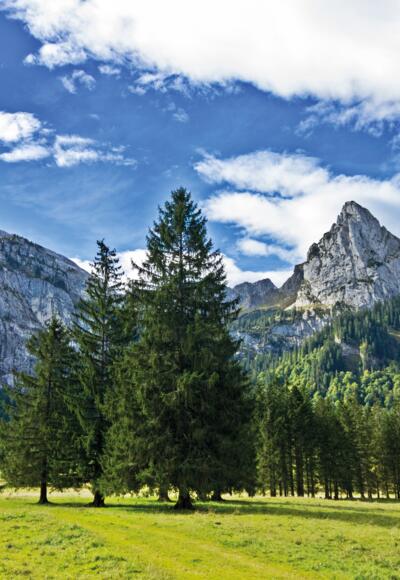 Der Geiselstein dominiert das Panorama am Wankerfleck.