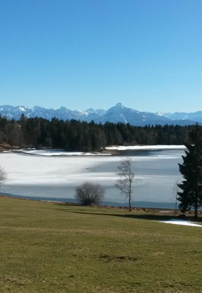 Schwaltenweiher im Winter