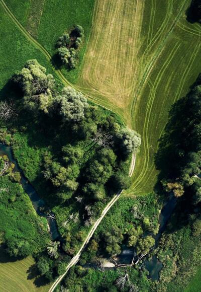 Glückswege - Ottobeuren - Glücksheimat-Runde - Kneipp ergründen