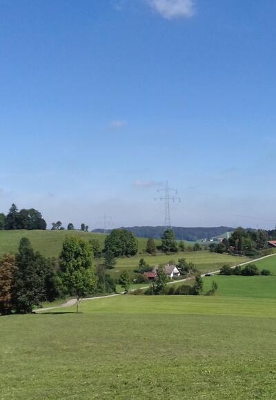 Blick von Niebers in Richtung Ottobeuren