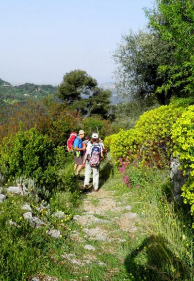 Pilgern - den Weg finden